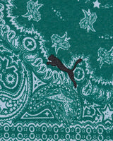 S5894613_74cl002